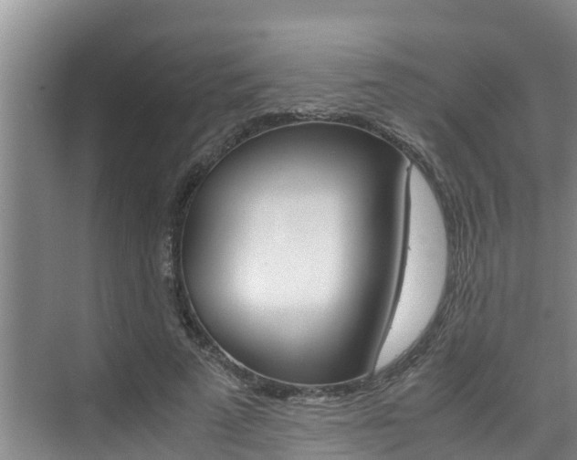 X0000076270689200609281046