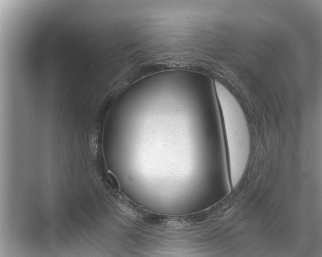 X0000076270697200609281046