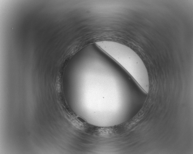 X0000076270762200609281045