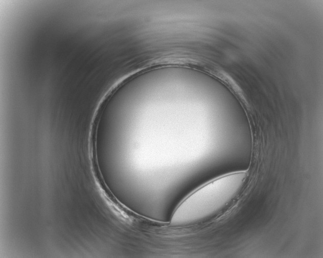 X0000076270795200609281044