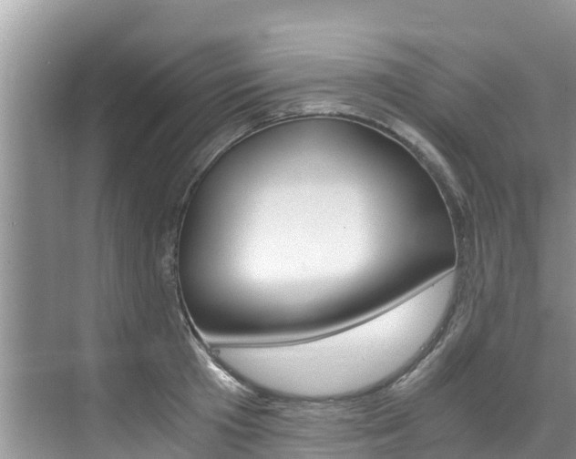 X0000076270801200609281044