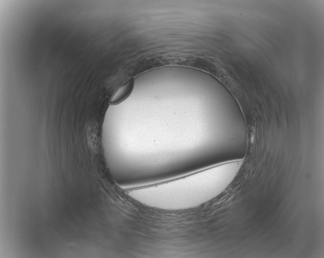 X0000076270867200609281043