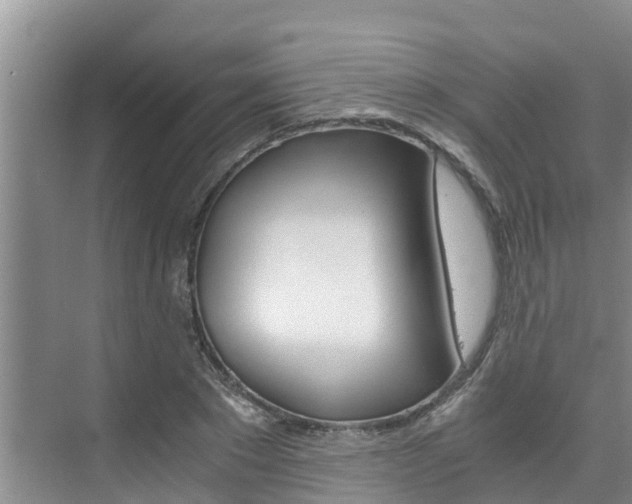 X0000076270881200609281043