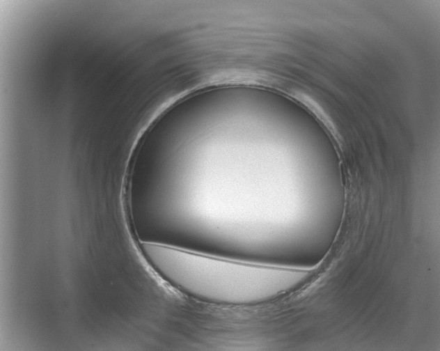 X0000076270901200609281042