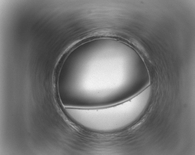 X0000076270981200609281041