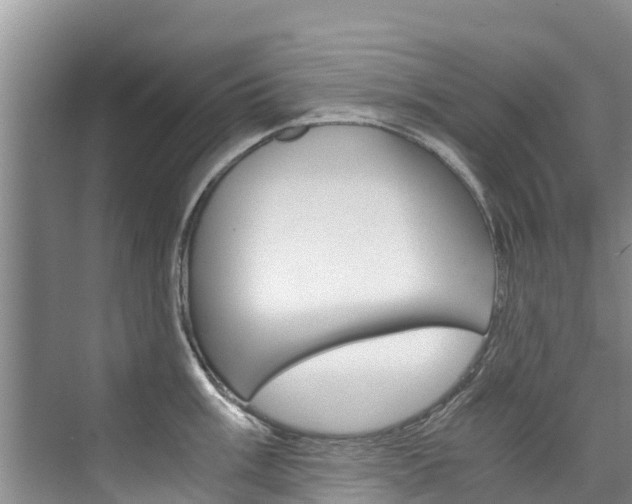 X0000076271003200609281041