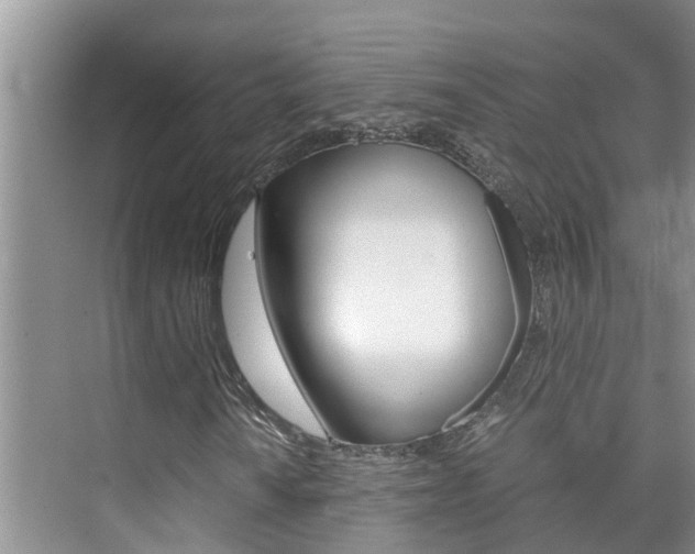 X0000076271010200609281040