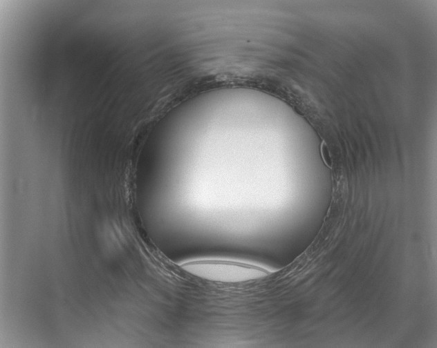 X0000076271012200609281040