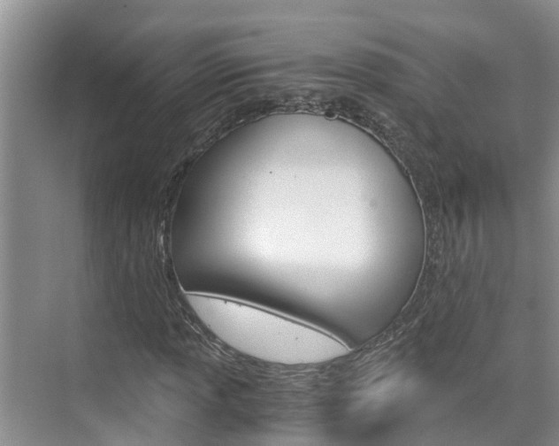 X0000076271013200609281040
