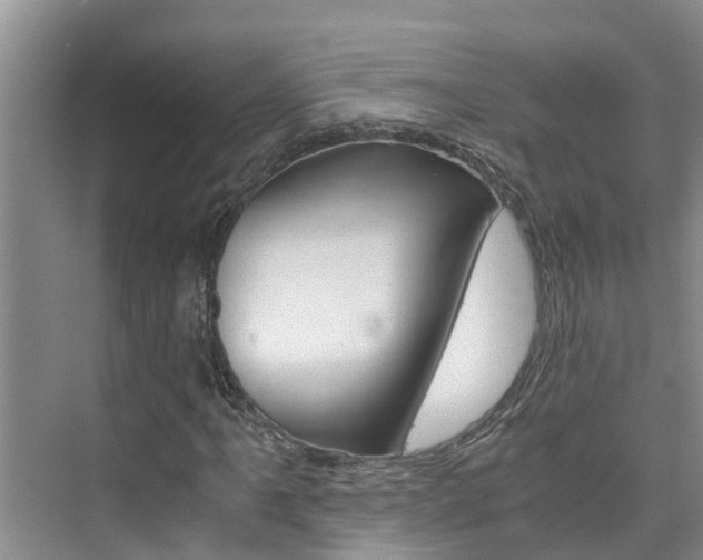 X0000076271061200609281040