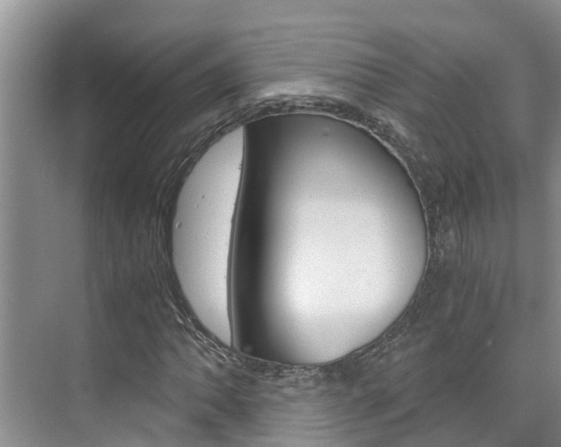 X0000076271062200609281040