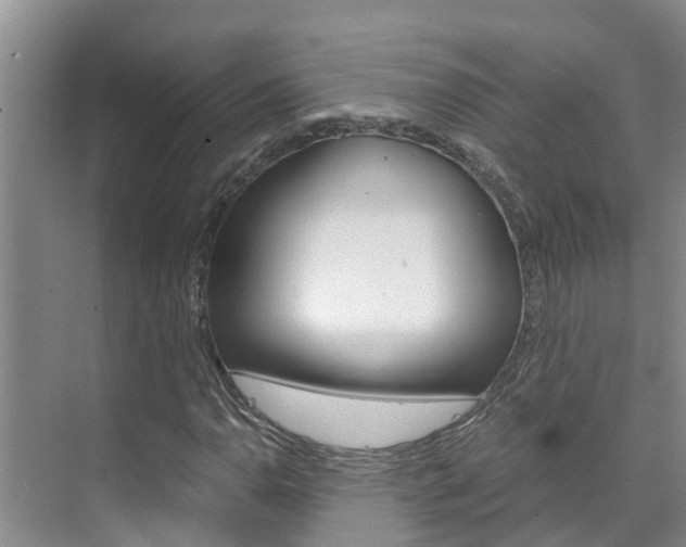 X0000076271110200609281038