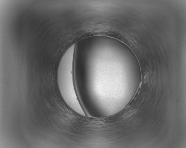 X0000076271156200609281038