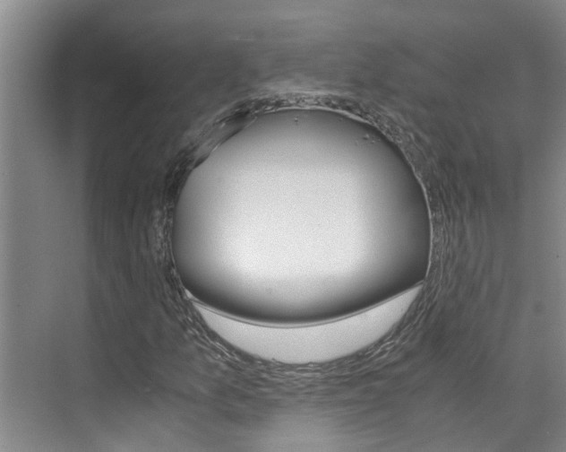X0000076271157200609281038