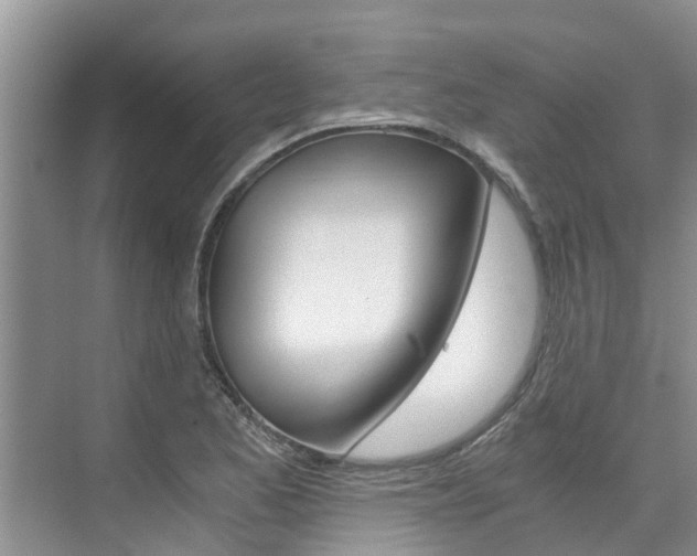 X0000076271173200609281038