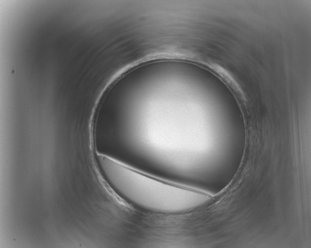 X0000076271238200609281037
