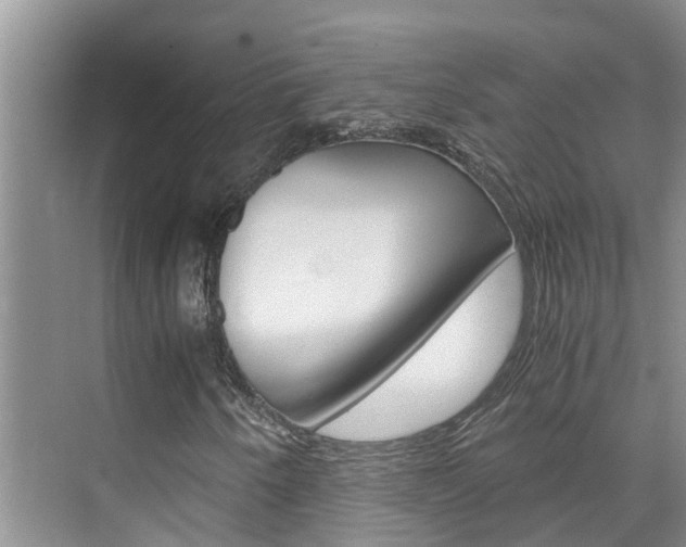 X0000076271250200609281037