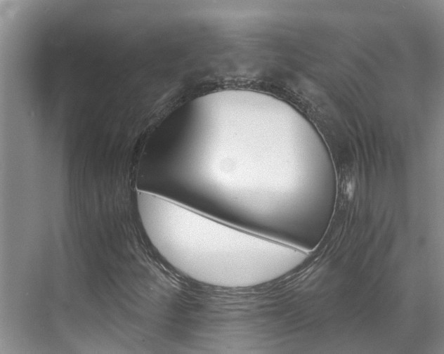 X0000076271252200609281037