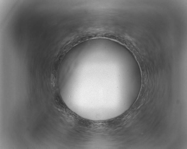 X0000076271253200609281037