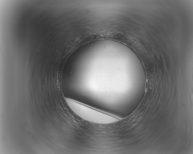 X0000076271298200609281035