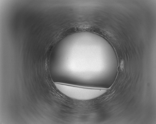 X0000076271299200609281035