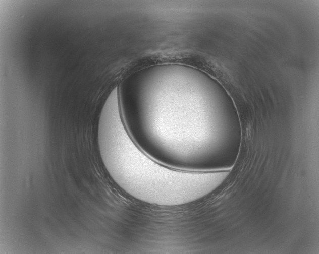 X0000076271300200609281035