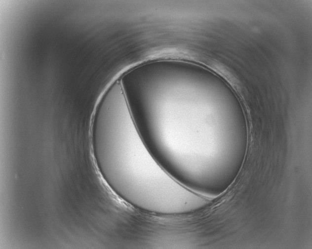 X0000076271392200609281034