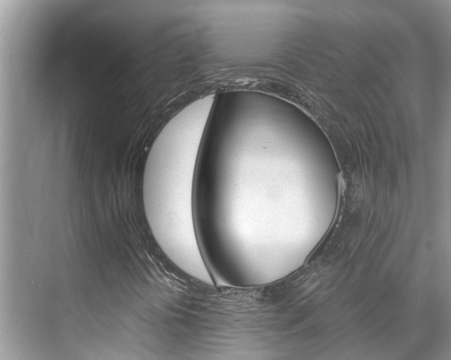 X0000076271394200609281033