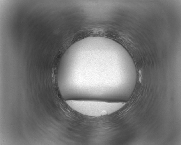 X0000076271395200609281033