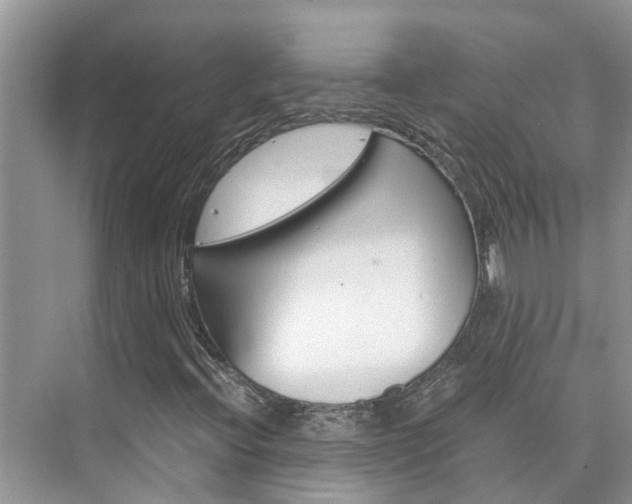 X0000076271396200609281033
