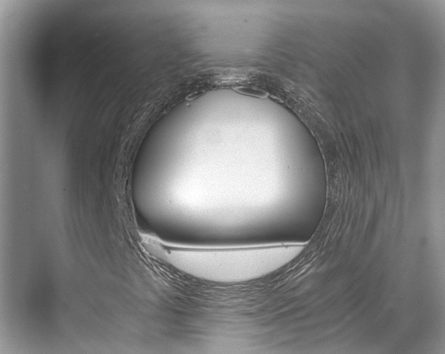 X0000076271441200609281033