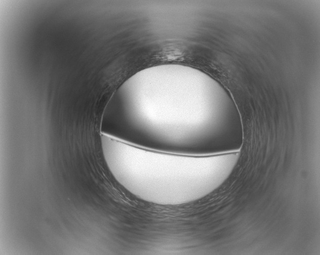 X0000076271442200609281033