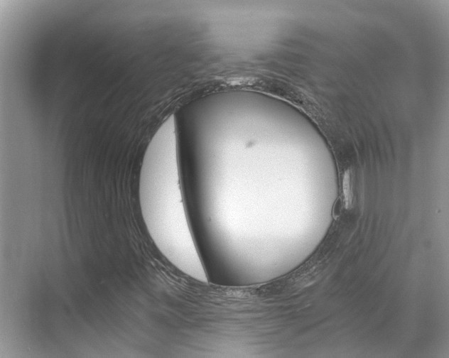 X0000076271443200609281033