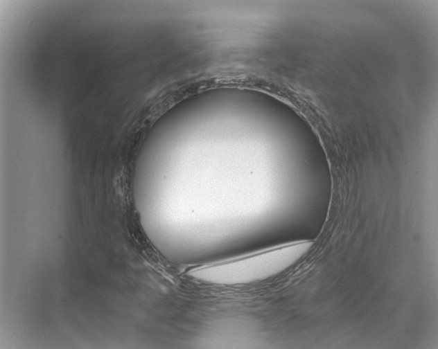 X0000076271445200609281033