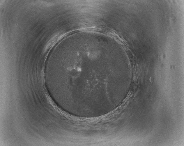 X0000076270002200609281217