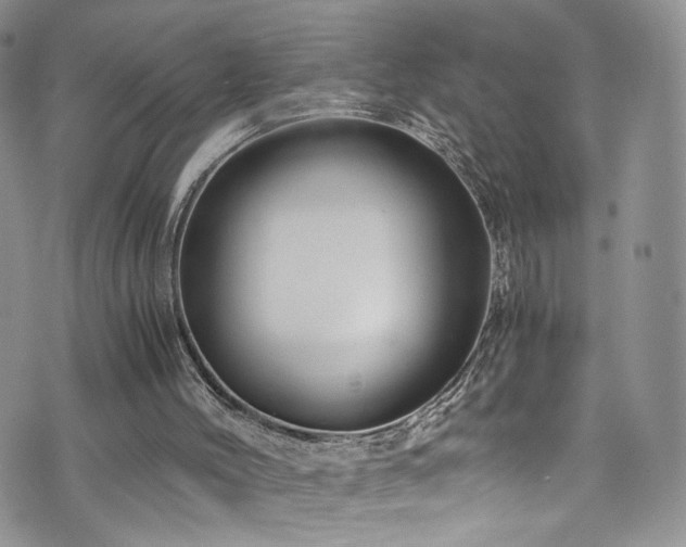 X0000076270004200609281217