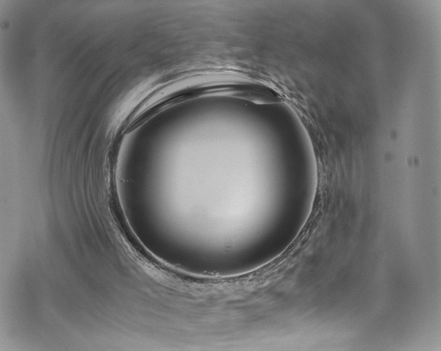 X0000076270005200609281217