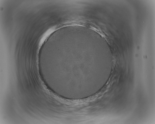 X0000076270006200609281217