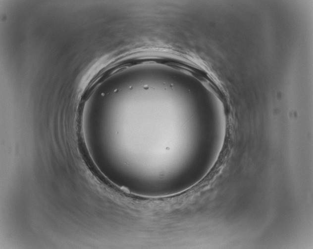 X0000076270007200609281217