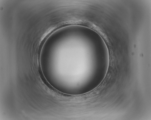 X0000076270011200609281217