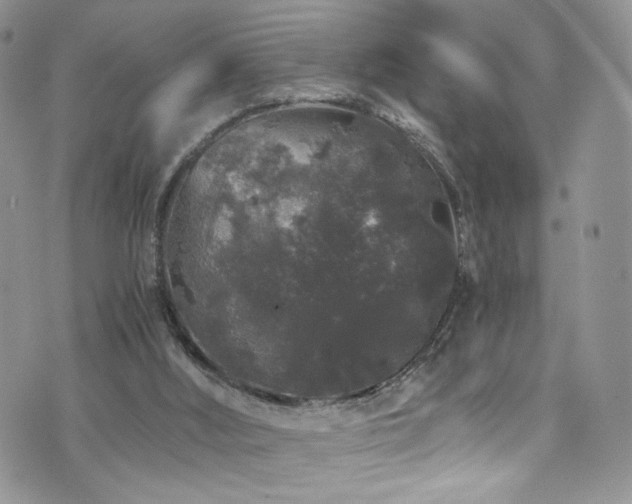 X0000076270012200609281217