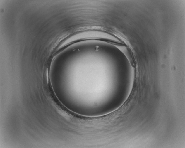 X0000076270013200609281217