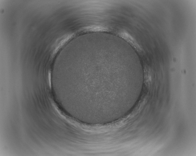 X0000076270014200609281217