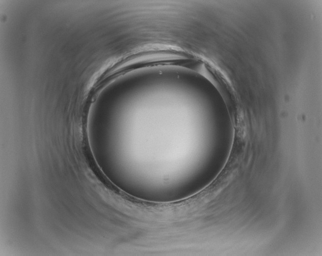 X0000076270015200609281217