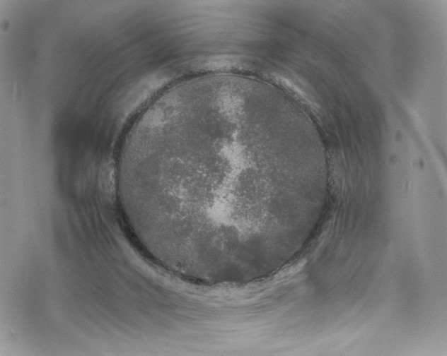 X0000076270016200609281217