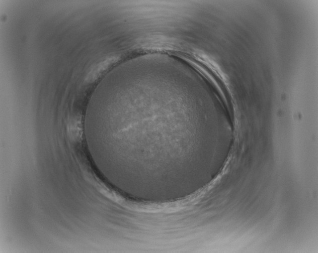 X0000076270017200609281217