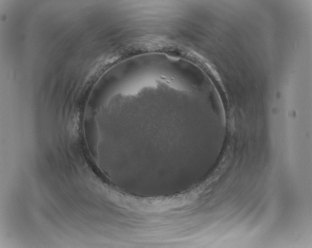 X0000076270018200609281217