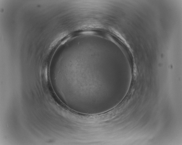 X0000076270019200609281217