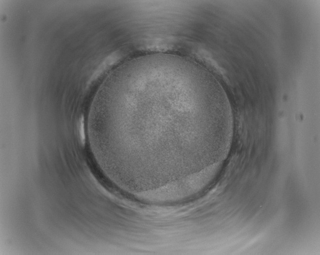 X0000076270020200609281217