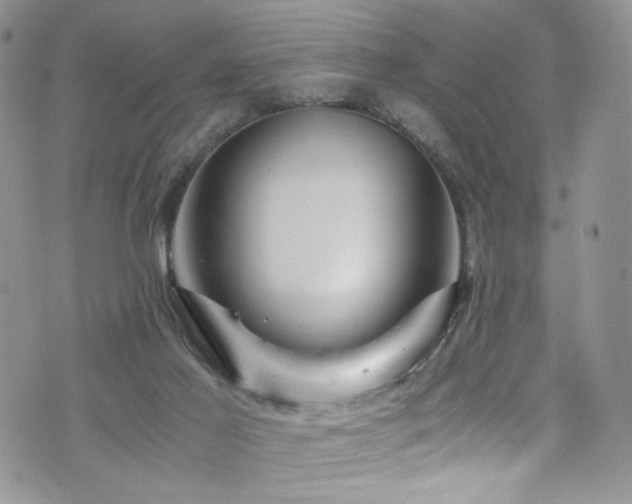 X0000076270021200609281217